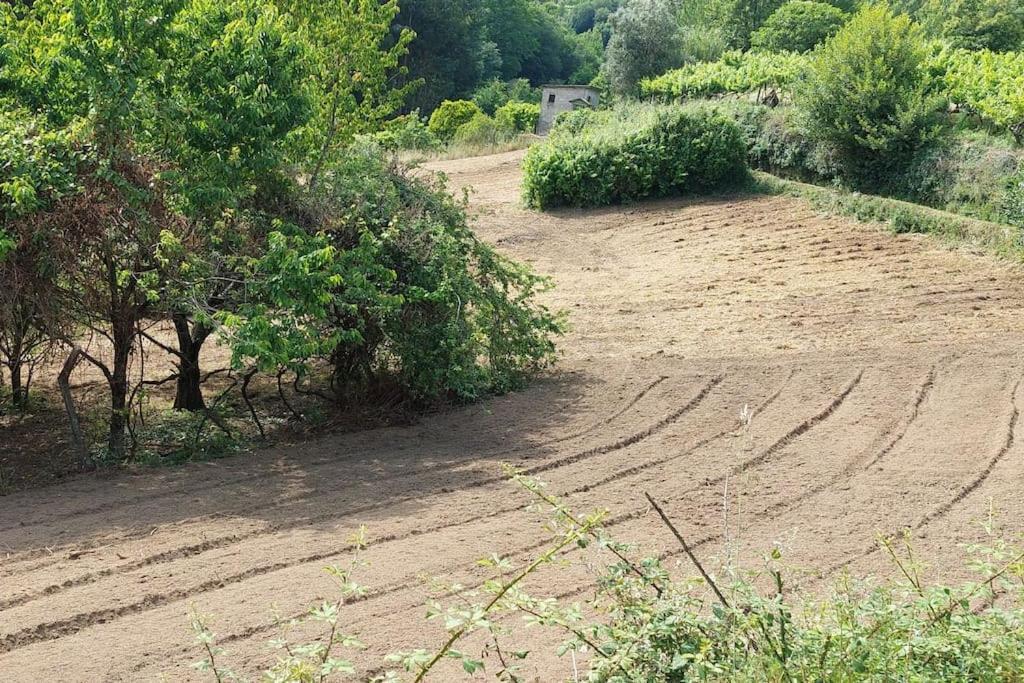 הוילה Baião Quinta Dos Castros Douro מראה חיצוני תמונה
