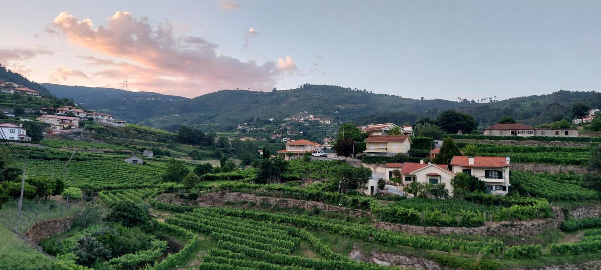 הוילה Baião Quinta Dos Castros Douro מראה חיצוני תמונה