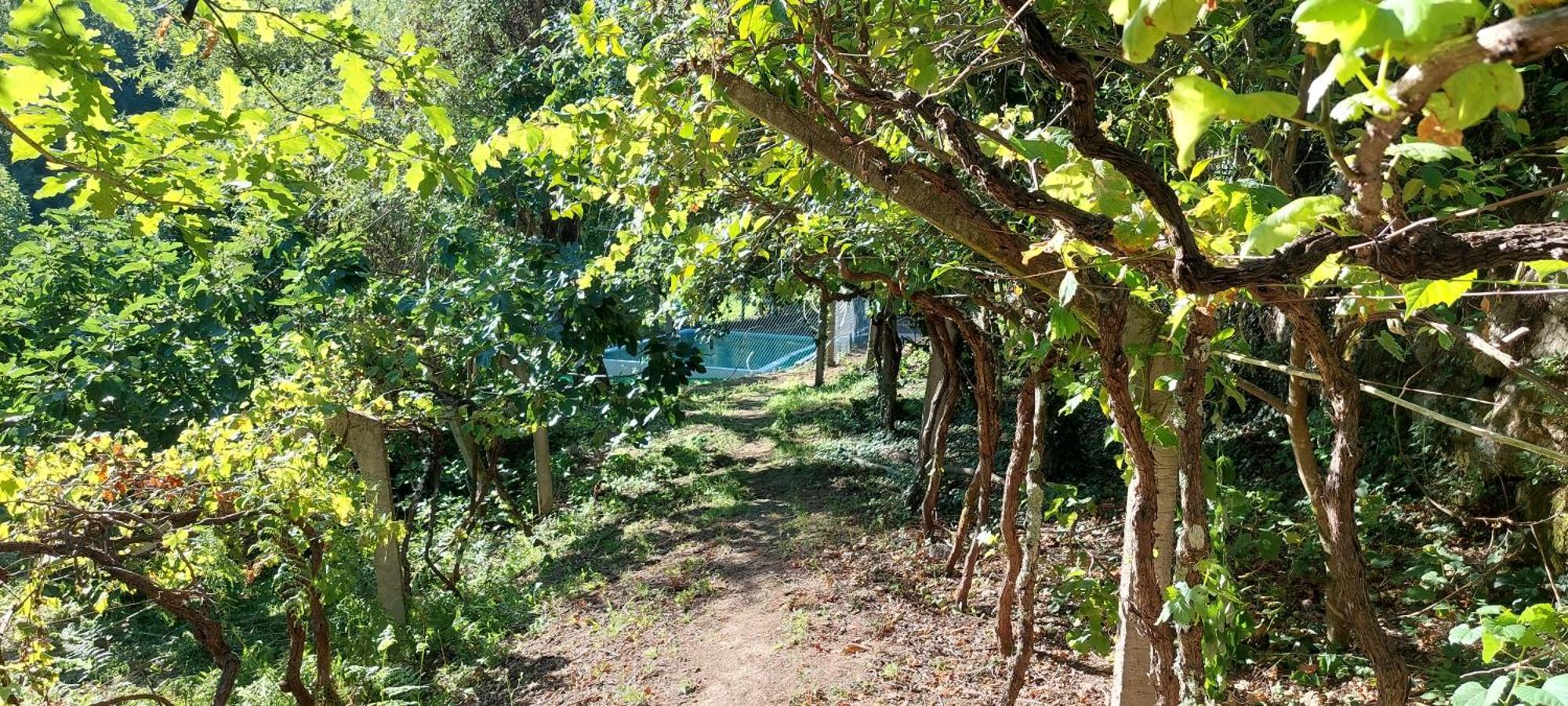 הוילה Baião Quinta Dos Castros Douro מראה חיצוני תמונה