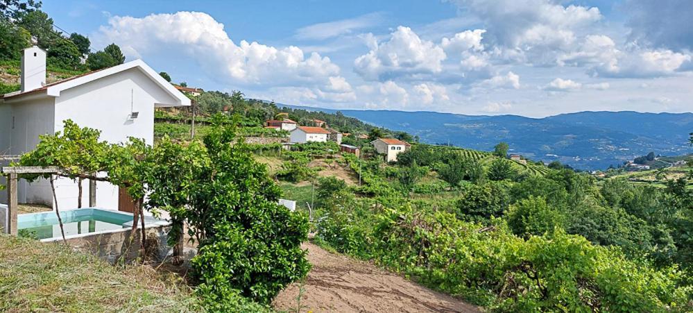 הוילה Baião Quinta Dos Castros Douro מראה חיצוני תמונה