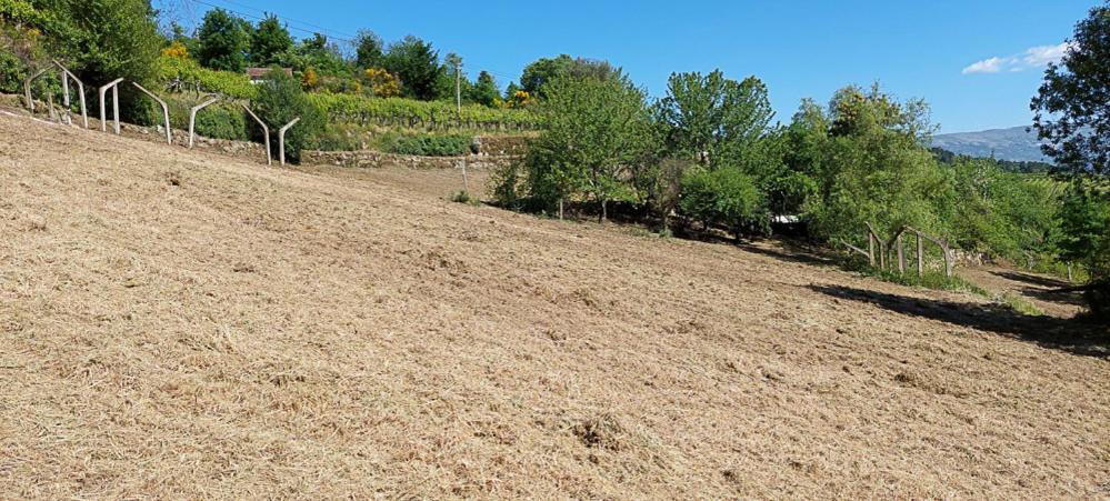 הוילה Baião Quinta Dos Castros Douro מראה חיצוני תמונה
