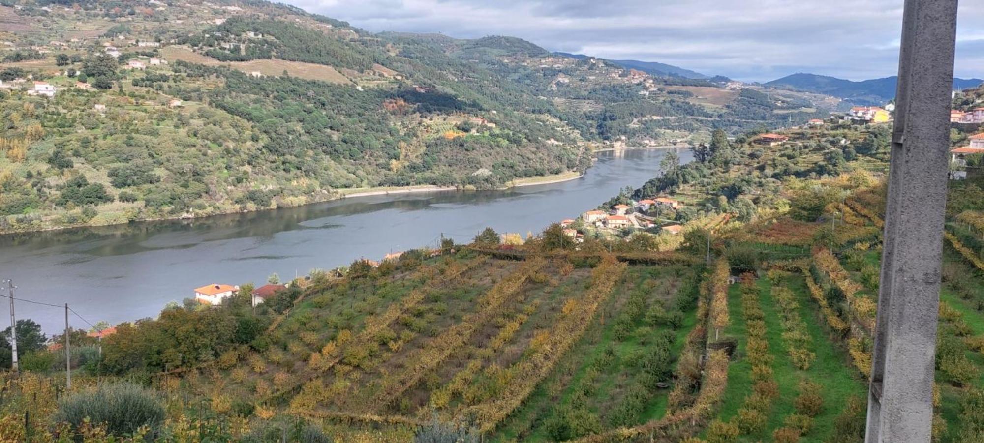 הוילה Baião Quinta Dos Castros Douro מראה חיצוני תמונה