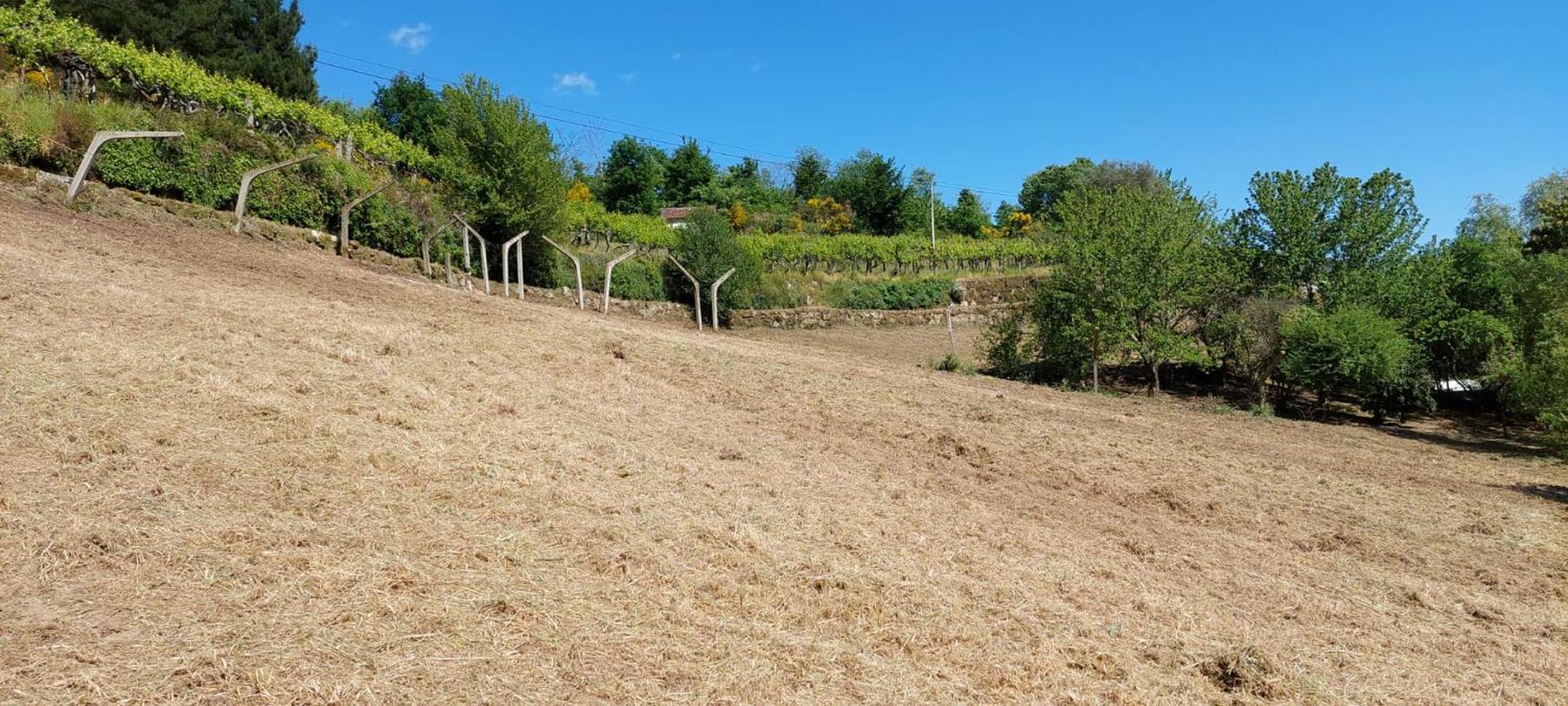הוילה Baião Quinta Dos Castros Douro מראה חיצוני תמונה