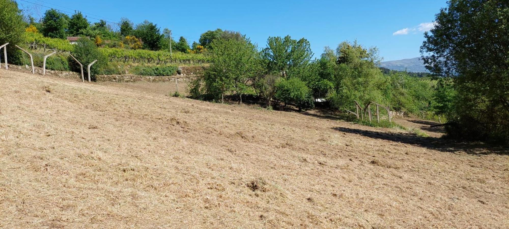 הוילה Baião Quinta Dos Castros Douro מראה חיצוני תמונה